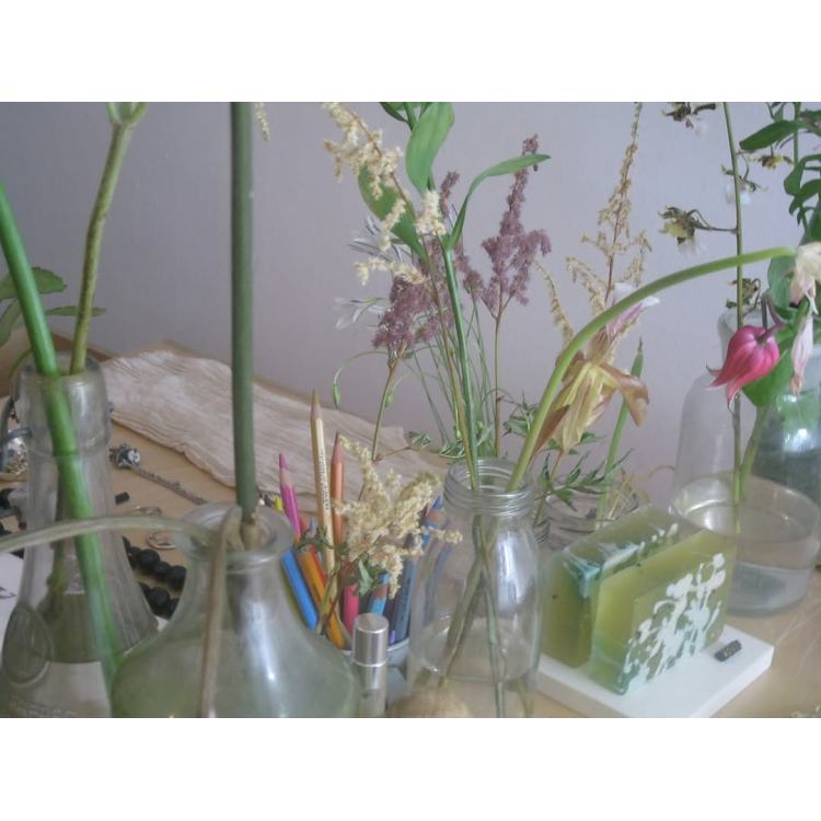 Work Shop " Plant Drawing Club"